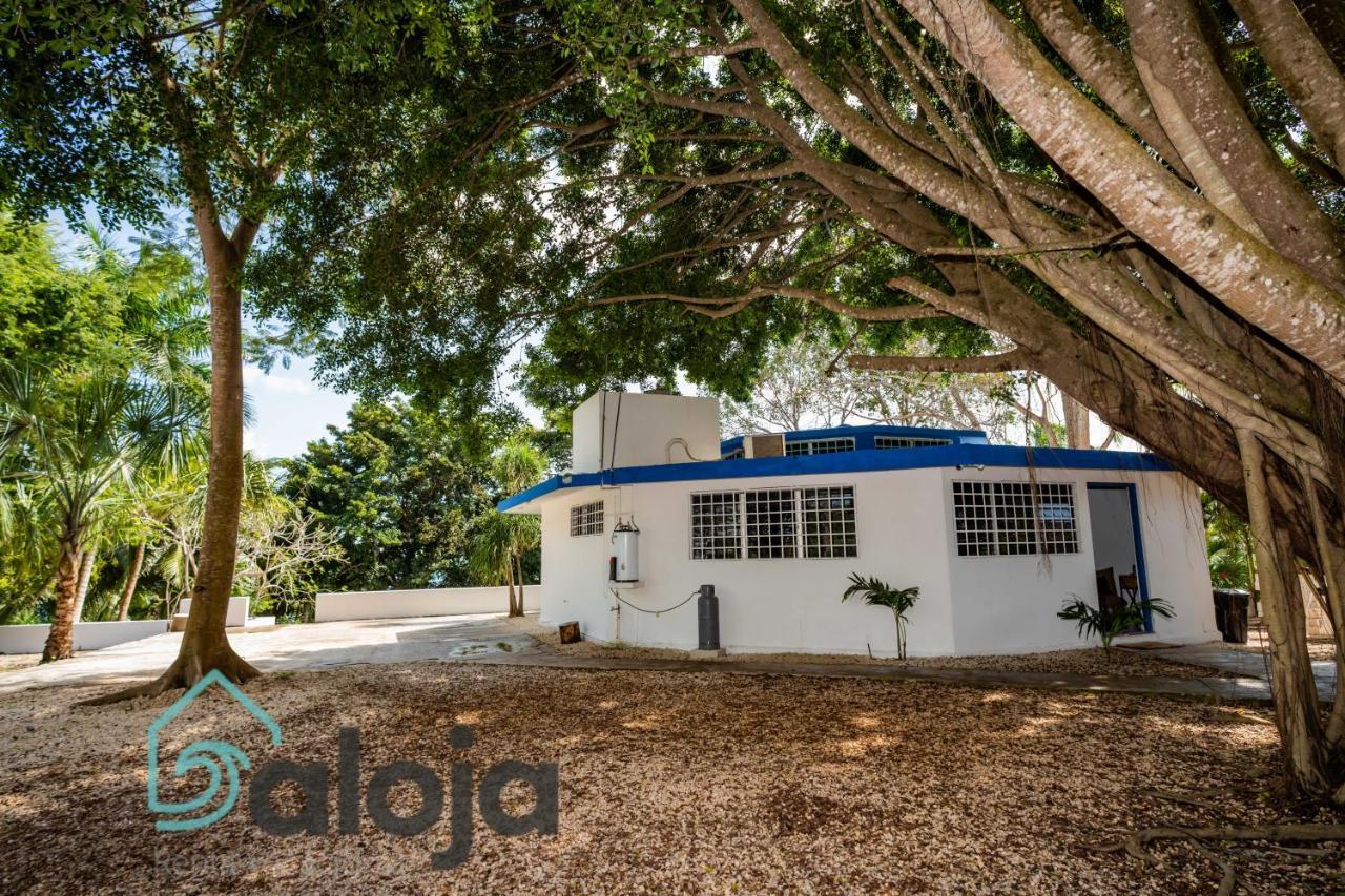Villa Xtohil With Private Access To The Magic 7 Colors Lagoon Bacalar Exterior photo